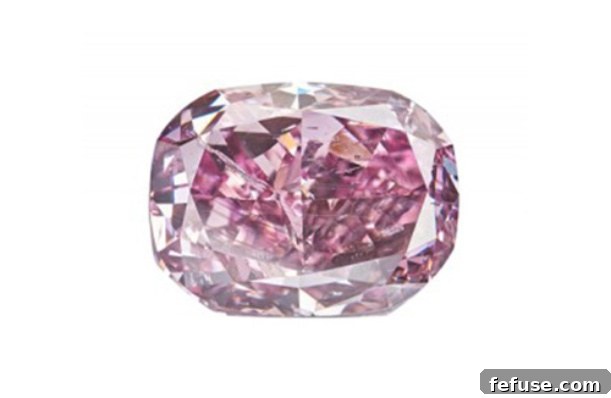 featured 10555