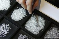 Bharat Diamond Week Steps Up After Typhoon Disrupts HK Show