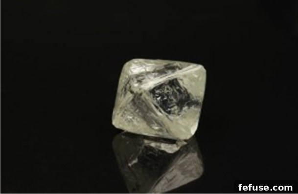 featured 11164