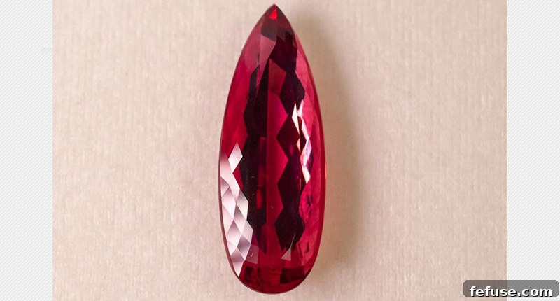 featured 11283