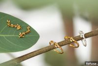 byBiehl’s New Collection: Championing Nature’s Future
