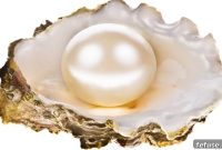 CPAA Unveils Its 10th International Pearl Design Challenge