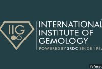 IIG’s 2019-2020 Graduates: Your Convocation Awaits