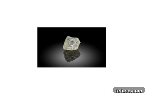 featured 1517