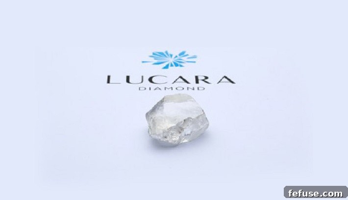 featured 15659