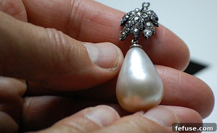 featured 15981