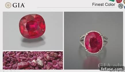 featured 16222