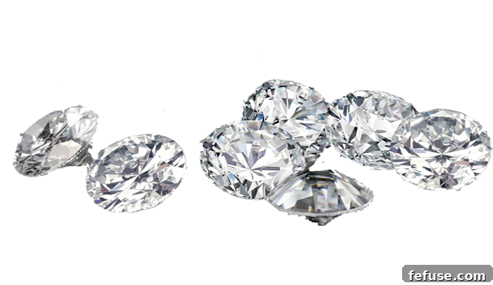 featured 16556