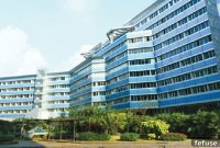 BDB Greenlights Lab-Grown Diamond Trading