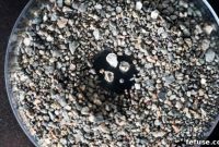De Beers Eyes Three-Year Peak at January Sight