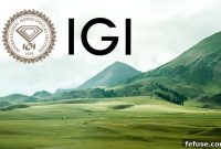 IGI Pioneers Carbon Neutrality Among Gem Labs