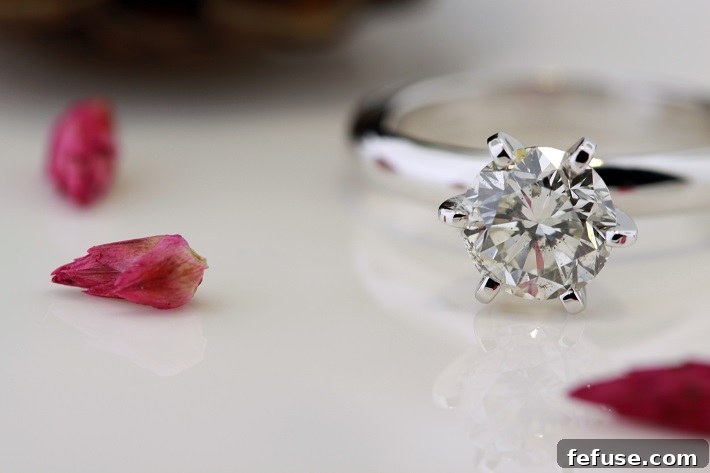 featured 17709