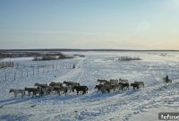 ALROSA Backs Major Environmental Initiative in Yakutia