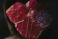 The Return of Burmese Ruby and Jade After Eight Years