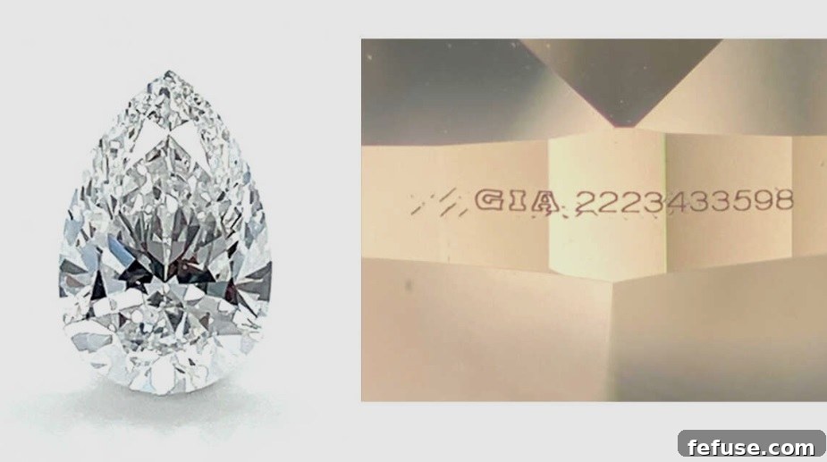 featured 20579