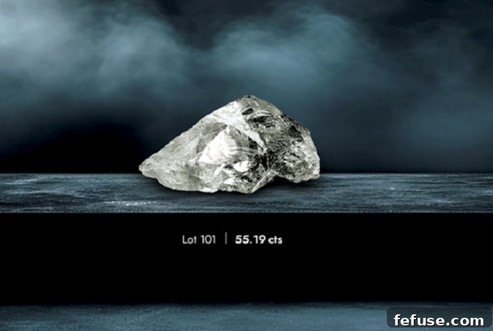 featured 20607