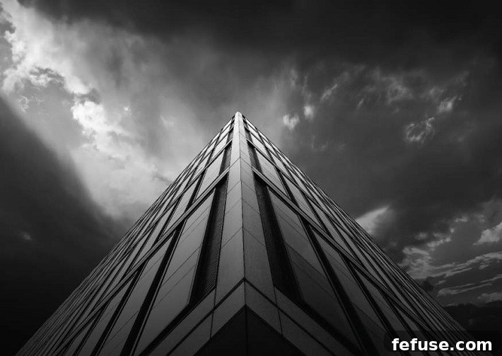 featured 20894