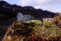 From Iceland to Helheim: AURUM by Gudbjorg Unveils Senua Saga Jewellery