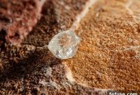 De Beers and GJEPC Address Industry Dynamics in Mumbai