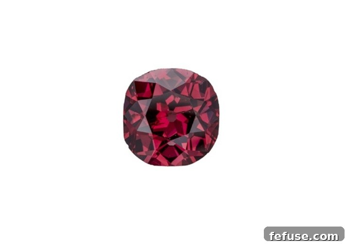 featured 22890