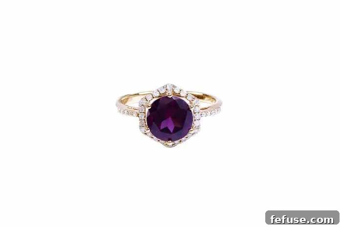 featured 2346