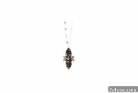 Unveiling Xiao Wangs Celestial Jewels
