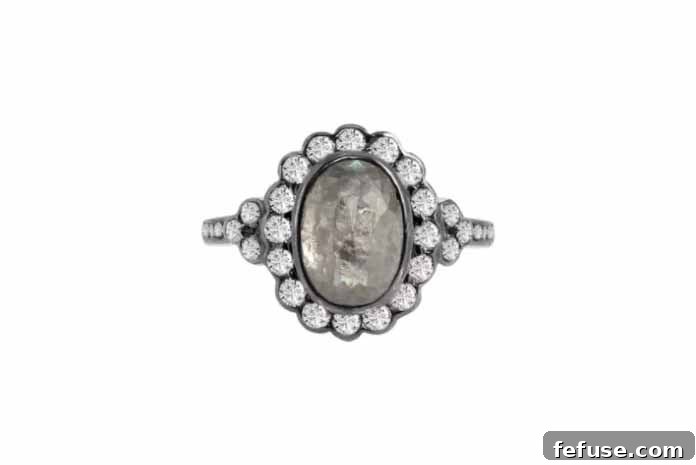 featured 2583