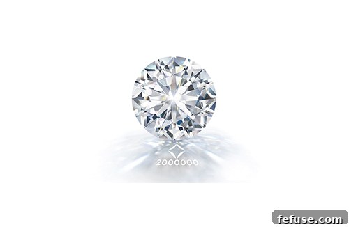 featured 3813