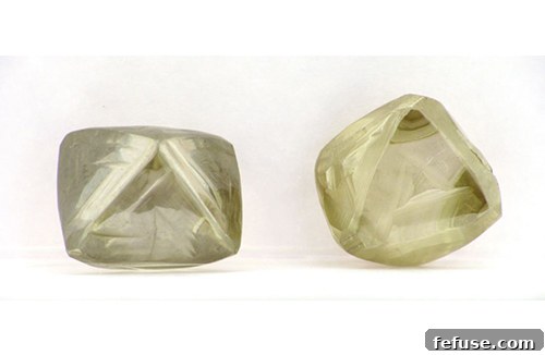 featured 4571