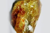 Sierra Leone’s Massive 709.41-Carat Diamond Arrives in Antwerp for Sale