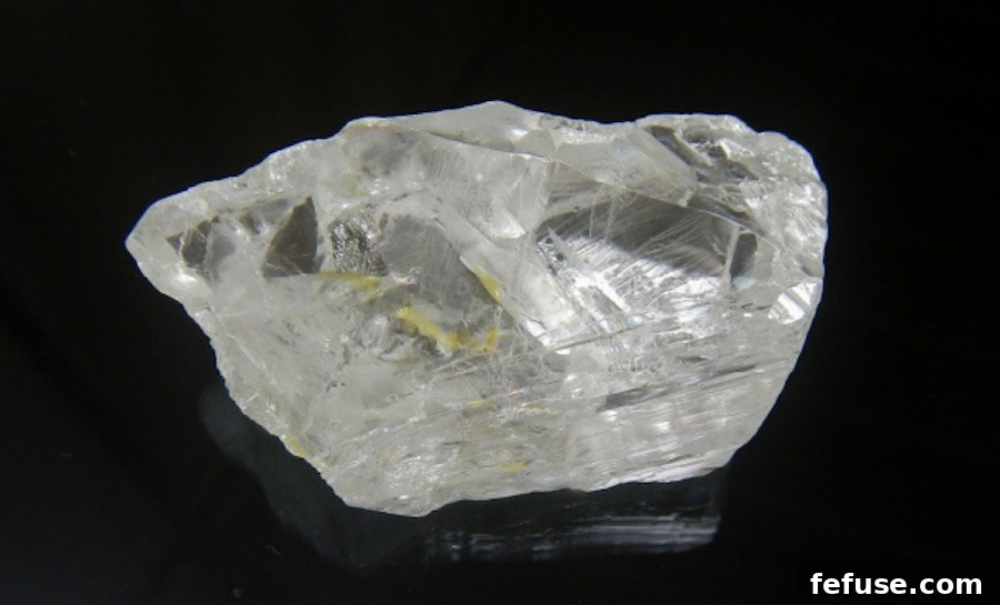 featured 6267