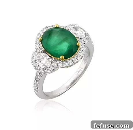 featured 648
