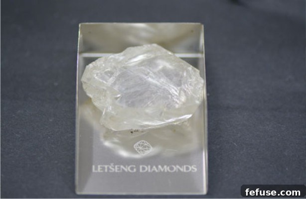 featured 7300