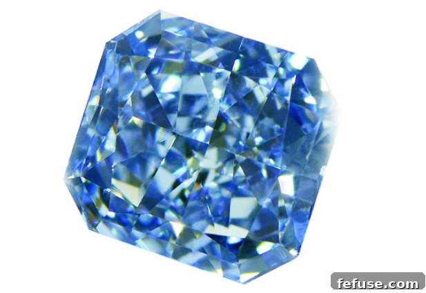 featured 7936