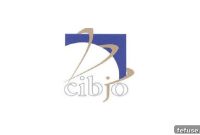 CIBJO Showcases Jewellery Industry’s Sustainability Drive at UN Meeting