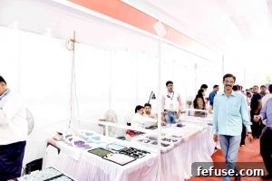 Rough Gemstone Show 2016 Jaipur Image 13: Unique rough gemstone finds