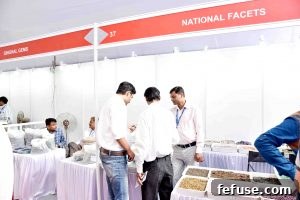 Rough Gemstone Show 2016 Jaipur Image 32: Uncut gem display