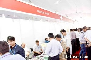 Rough Gemstone Show 2016 Jaipur Image 41: Expert gem evaluations