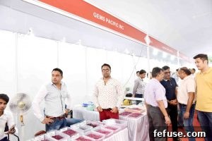Rough Gemstone Show 2016 Jaipur Image 47: Gemstone market trends