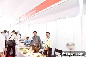 Rough Gemstone Show 2016 Jaipur Image 48: Showcasing raw gem materials