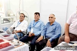 Rough Gemstone Show 2016 Jaipur Image 50: Innovation in gem industry