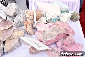 Rough Gemstone Show 2016 Jaipur Image 64: Supporting local gem businesses