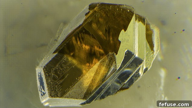 Stone