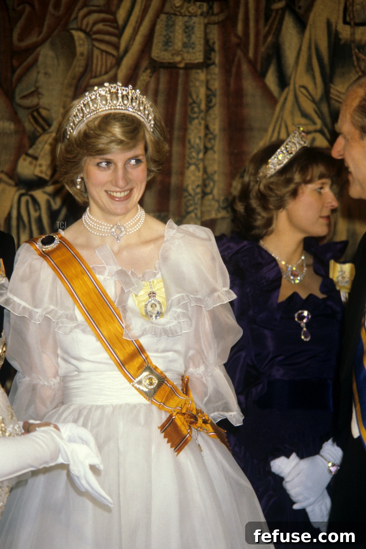 The Princess of Wales attends a banquet for the British royal family given by Queen Beatrix and Prince Claus of the Netherlands at Hampton Court Palace, 1982 (PA Images/Alamy)
