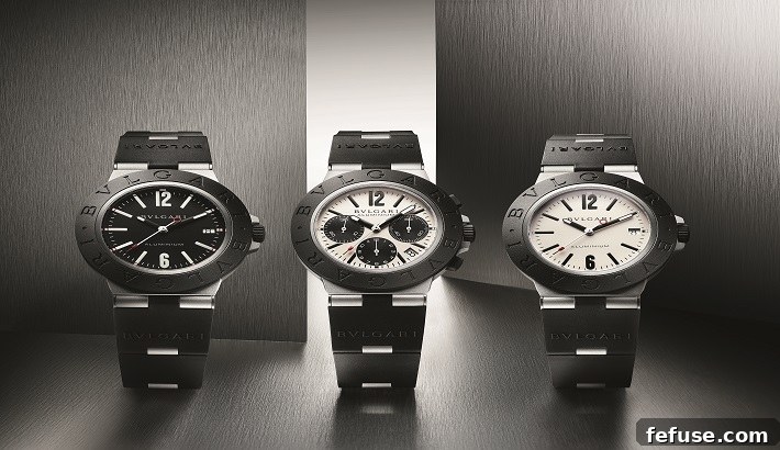 Luxury Watch Collection Display