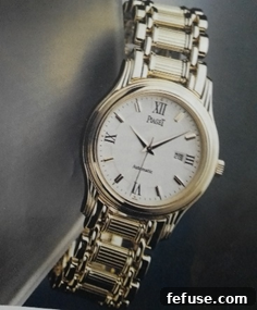 Jewellery Watch Segment