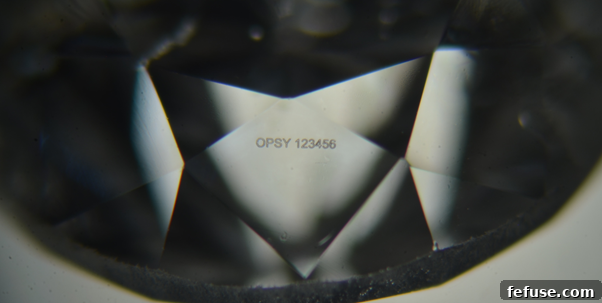 Loupe ID beneath the surface of a diamond, visible using a standard 10 x loupe.