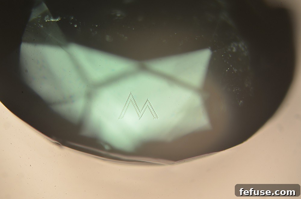 Myne London 'M' monogram placed beneath the surface of the crown using the Opsydia Sub-Surface System D5000, photographed at 100x magnification.