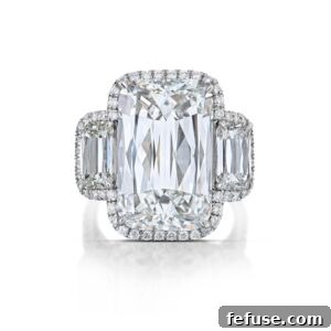 Platinum Three-Stone Ashoka Cut Diamond Ring by Stephen Silver, featuring a 12.38-carat Ashoka cut diamond
