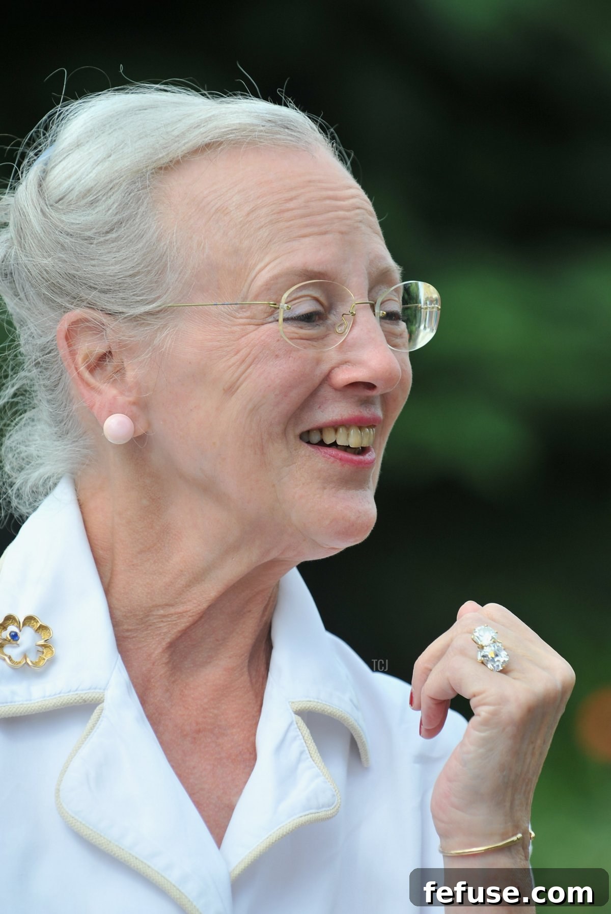 Queen Margrethe II of Denmark poses during the annual holiday photocall on August 8, 2008 in Caix, France (Pascal Le Segretain/Getty Images)